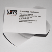 Visitenkarten <br>Querformat (100 Stk.)